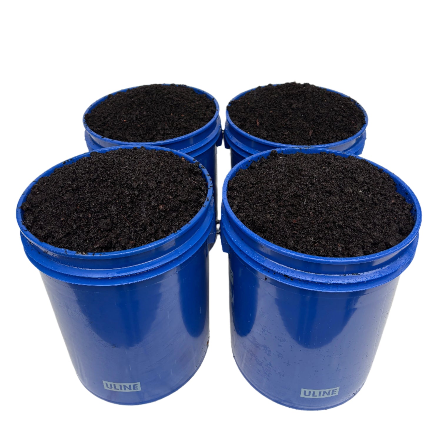 LASTING CASTINGS BUNDLE