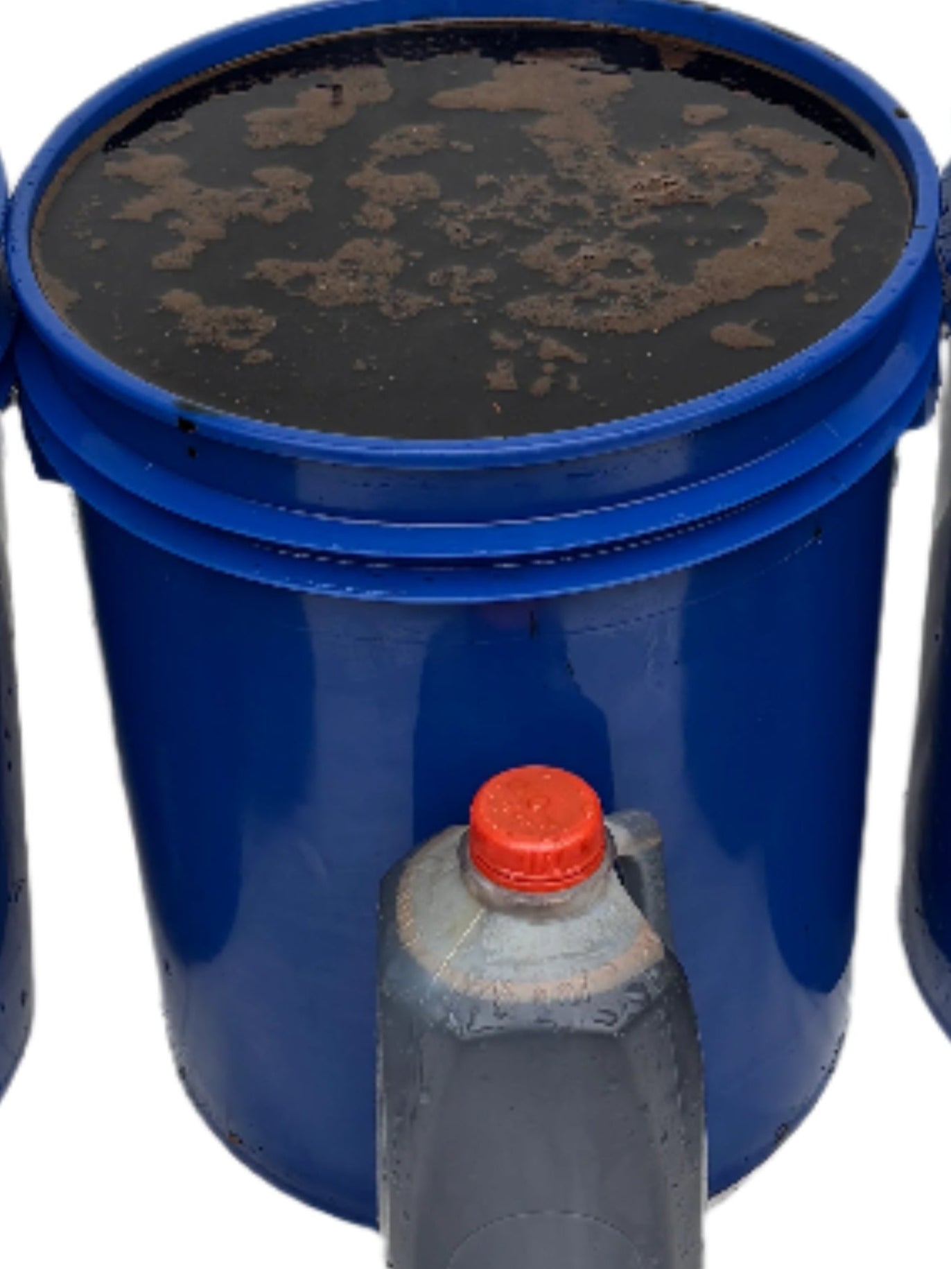 WORM TEA
